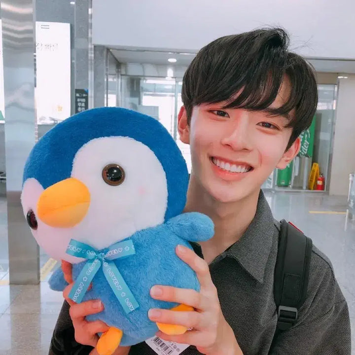 보플2 보이즈플래닛 유강민 강민 굿즈 베리베리 송도 인형