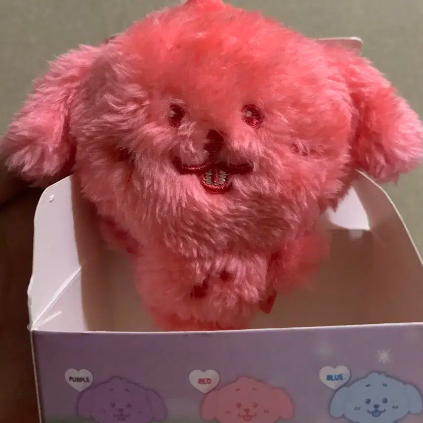 nct wish 엔시티위시 컬러 위시돌 컬러돌 댕트리버 윗부부