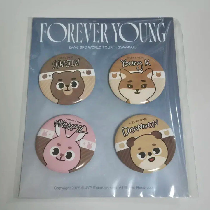 데이식스 광주콘 캔뱃지 입장기프트