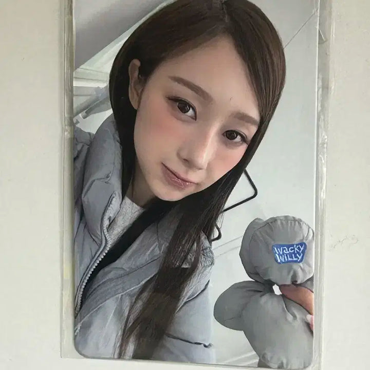 지젤 와키윌리 포카 양도