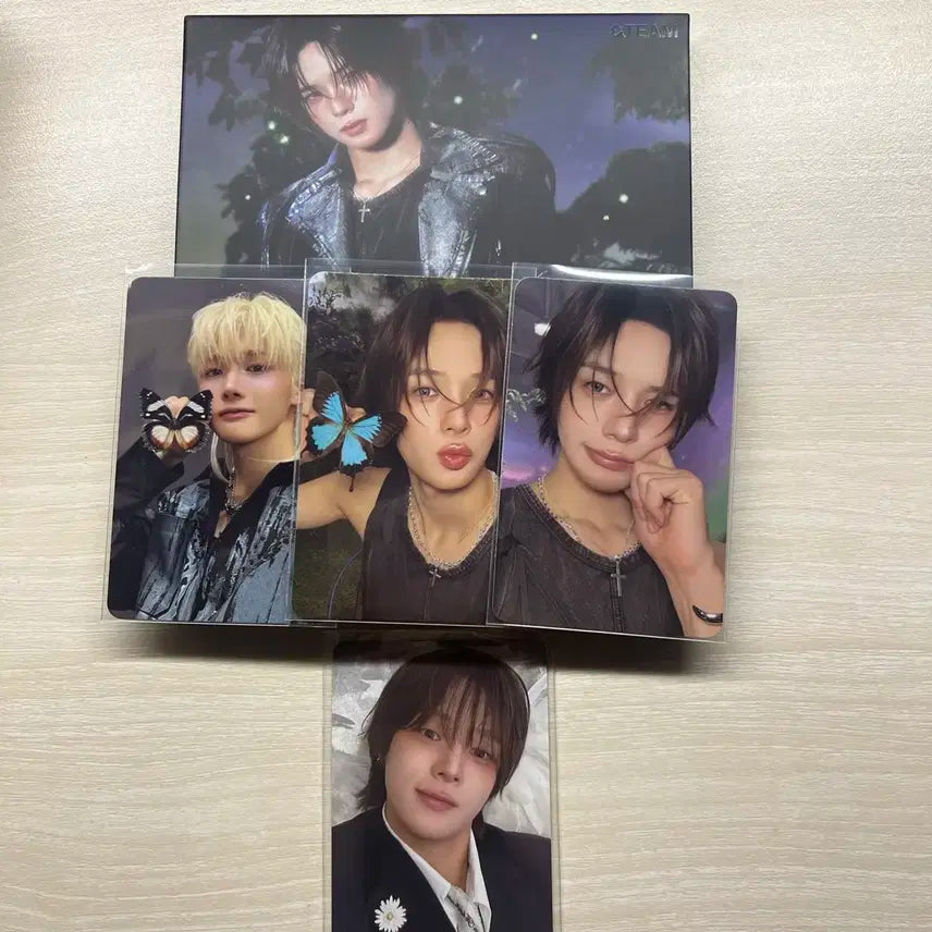 앤팀 백투라이프 케이 죠 앨범 카카오톡선물하기 포카 양도