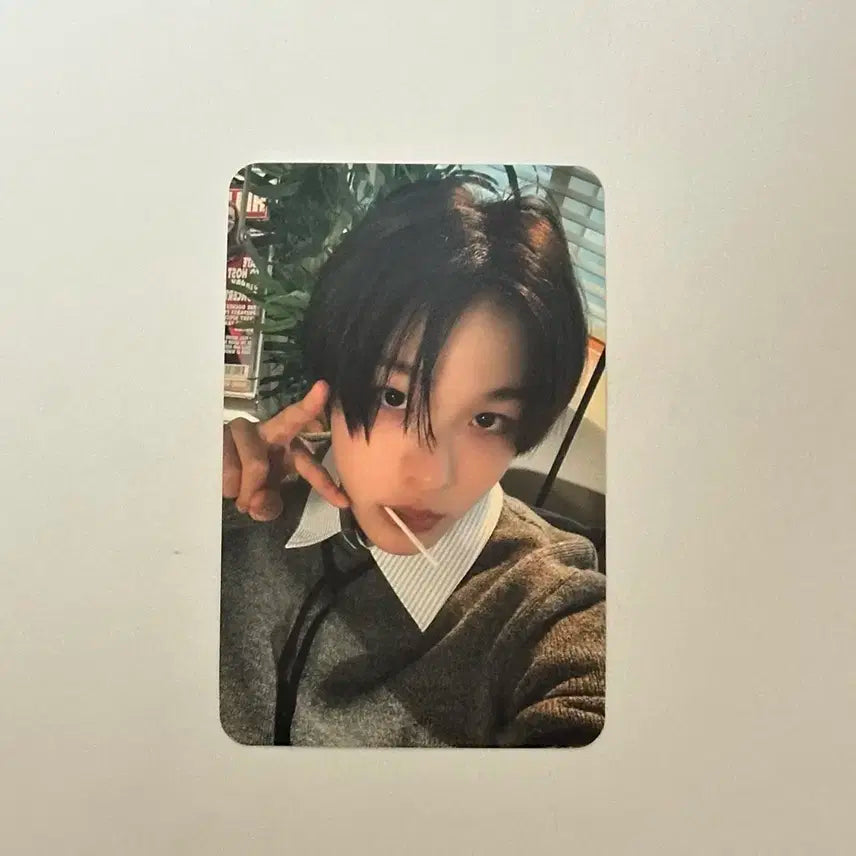 엔시티 위시 뮤직코리아 리쿠 미공포 포카