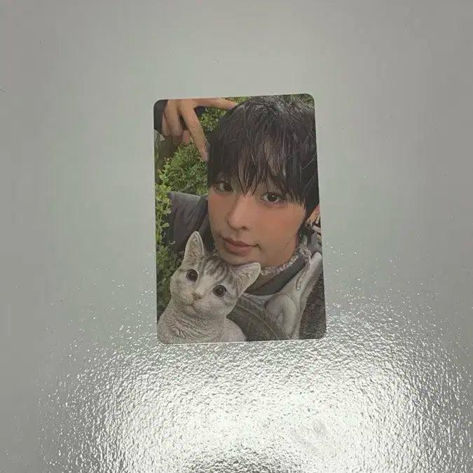 엔시티위시 리쿠 컬러 쥬얼 포카