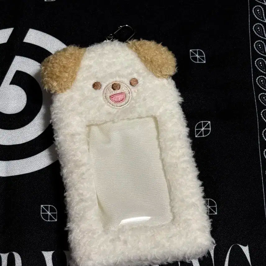 데이식스 쁘띠멀즈 포카홀더 돈