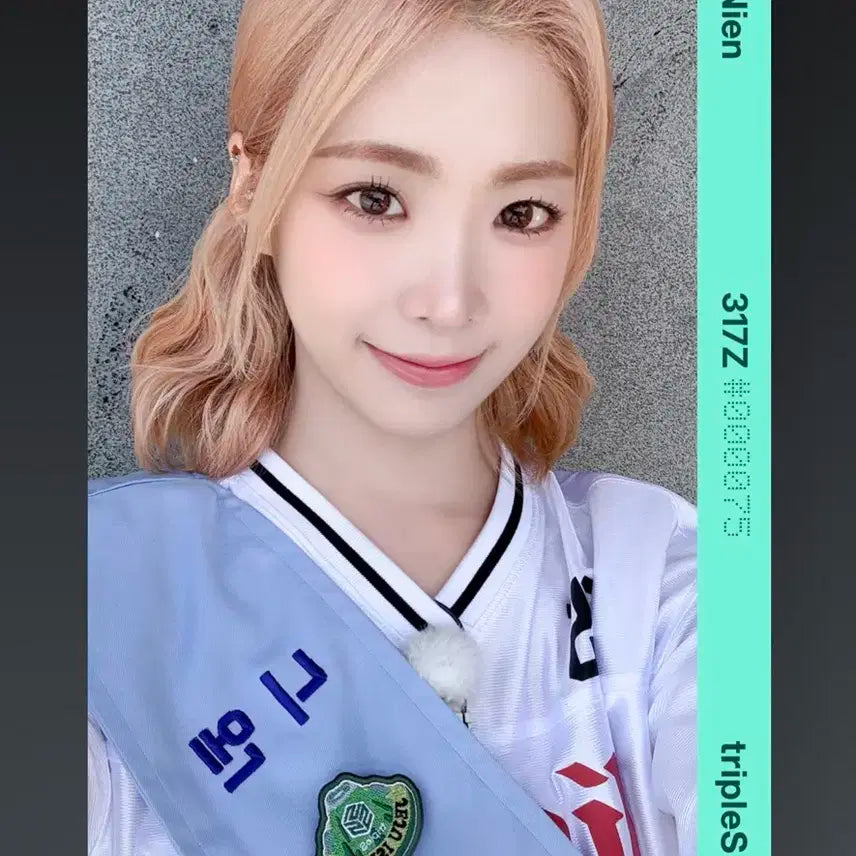 트리플에스 니엔 317Z 오브젝트 70번대