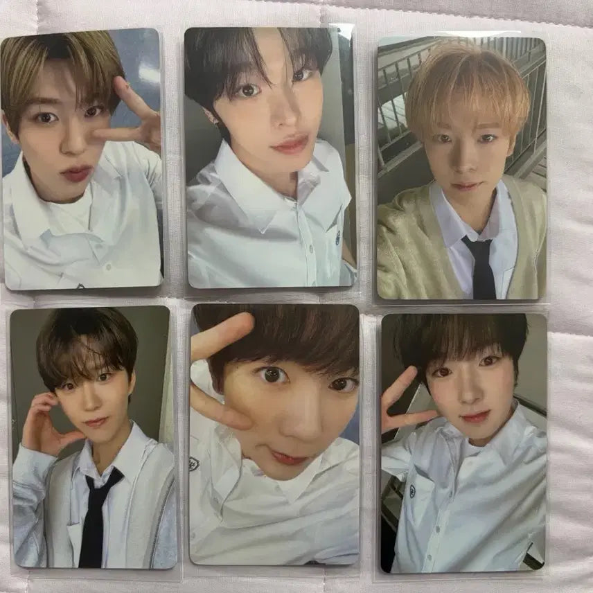 엔시티위시 스쿨오브위시  포토카드 6장 세트