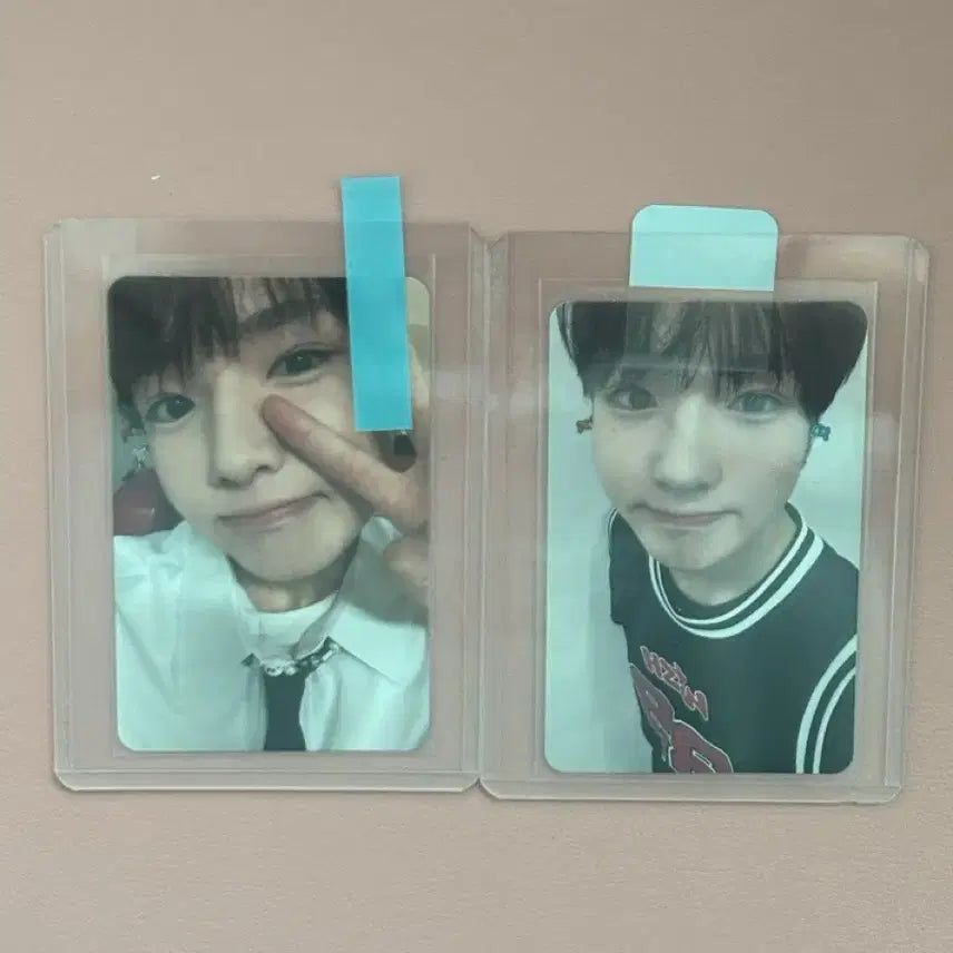 사쿠야 스테디 포카