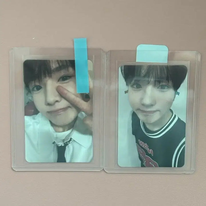 사쿠야 스테디 포카