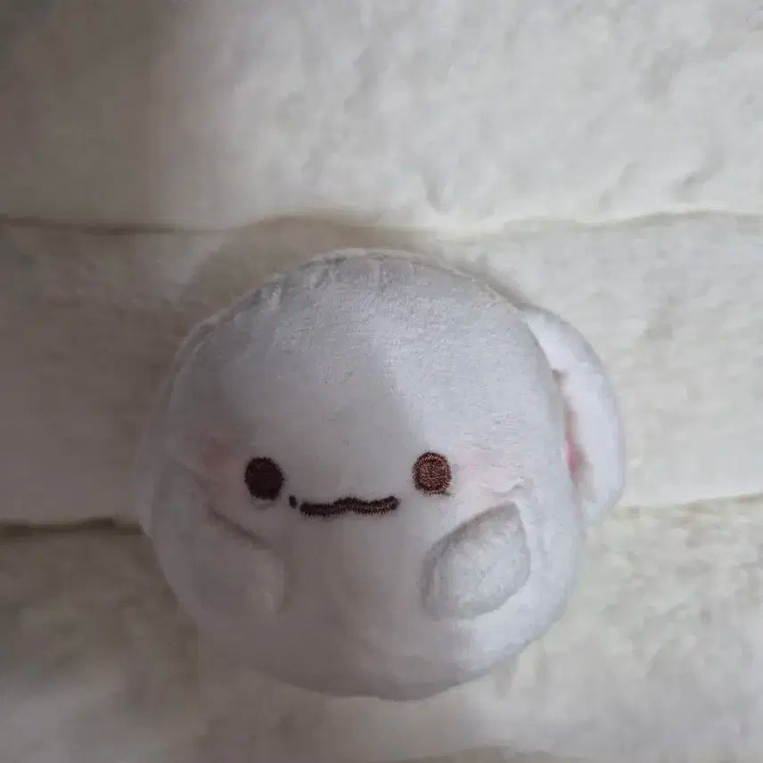 엑소 백현 토끼 빵빵이 양도합니다