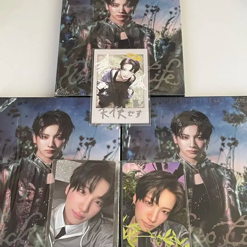 유마세트)앤팀 개인반 미개봉앨범 백투라 로어버전 미공포 게이즈 위버스