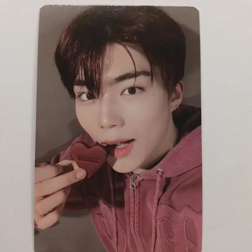 제로베이스원 로즈데이 쿠키세트 포토카드 박건욱