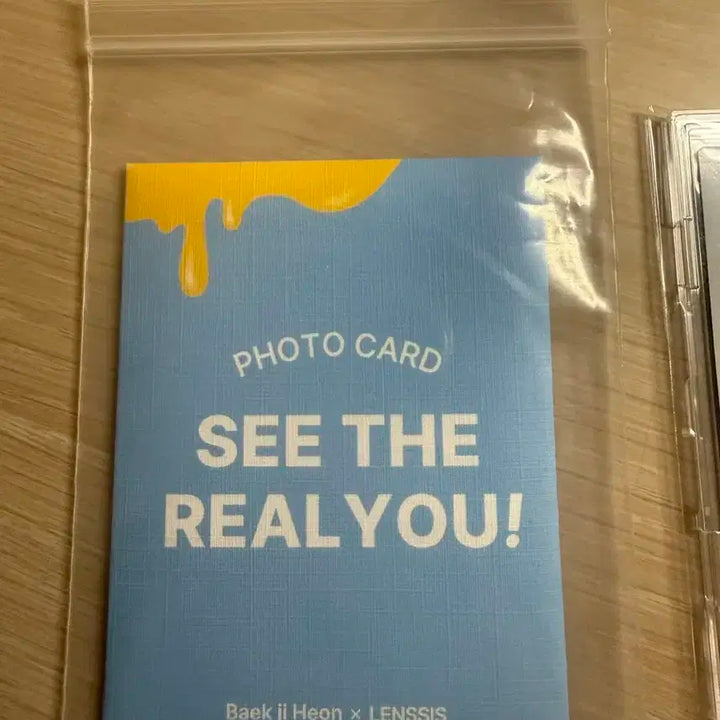 백지헌 렌시스 싸폴