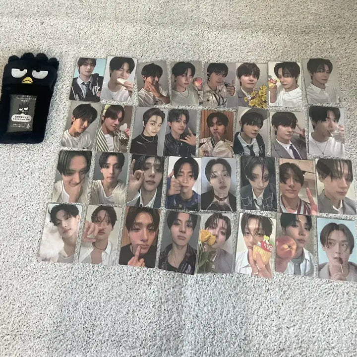 보이즈플래닛 보플 아카이브 이상원 이리오 일괄 포카 포토카드 양도