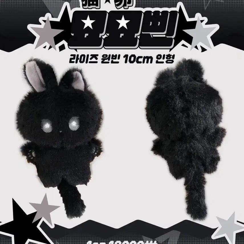 라이즈 원빈 10cm 인형 묘묘삔