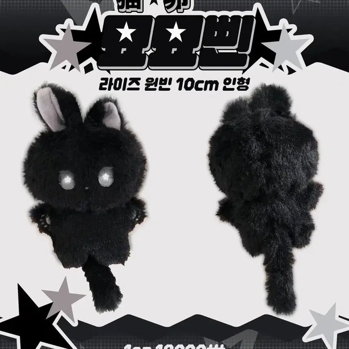 라이즈 원빈 10cm 인형 묘묘삔