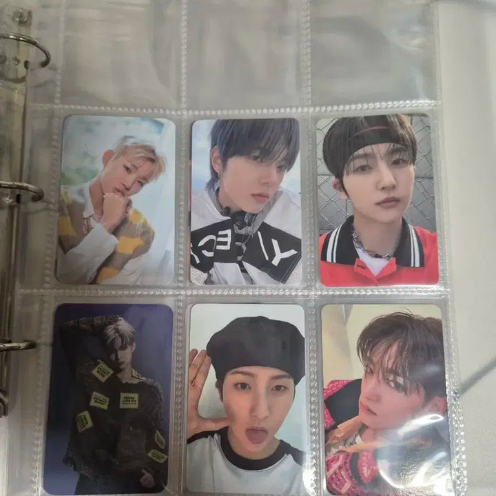 sf9,드리핀,휘브 포카 일괄