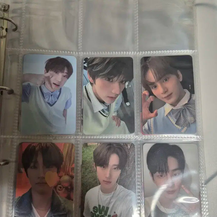 sf9,드리핀,휘브 포카 일괄