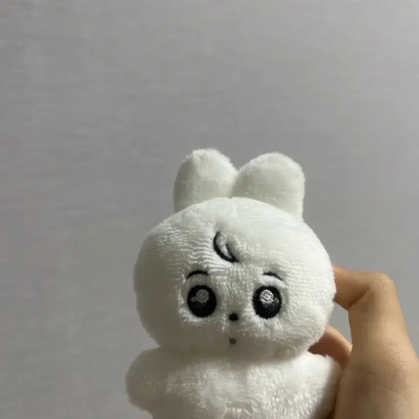 방탄소년단 인형 정국 토뭉이 bts jk