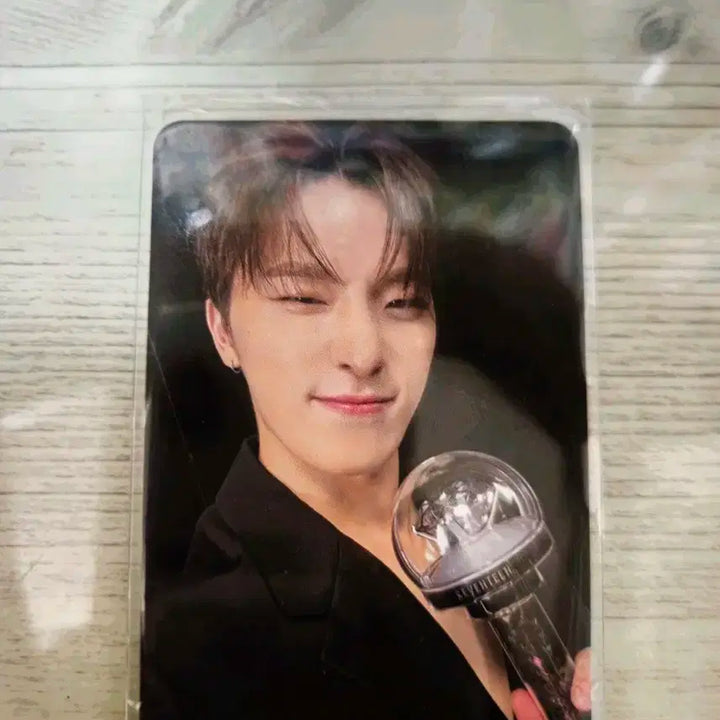 세븐틴righr here 디노 캐럿존 팝니다(배성비 포함 12,000원)