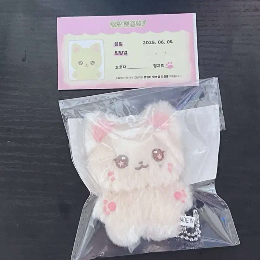 아이유 징치즈 인형