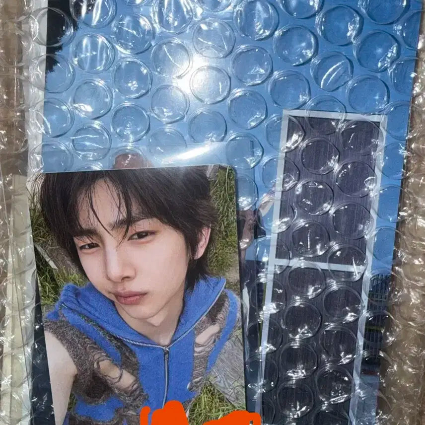 코르티스 주훈 포카 앨포