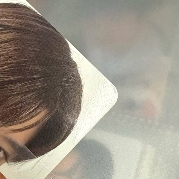 엔시티위시 시온 팝팝초회한정반,송버드 일괄양도