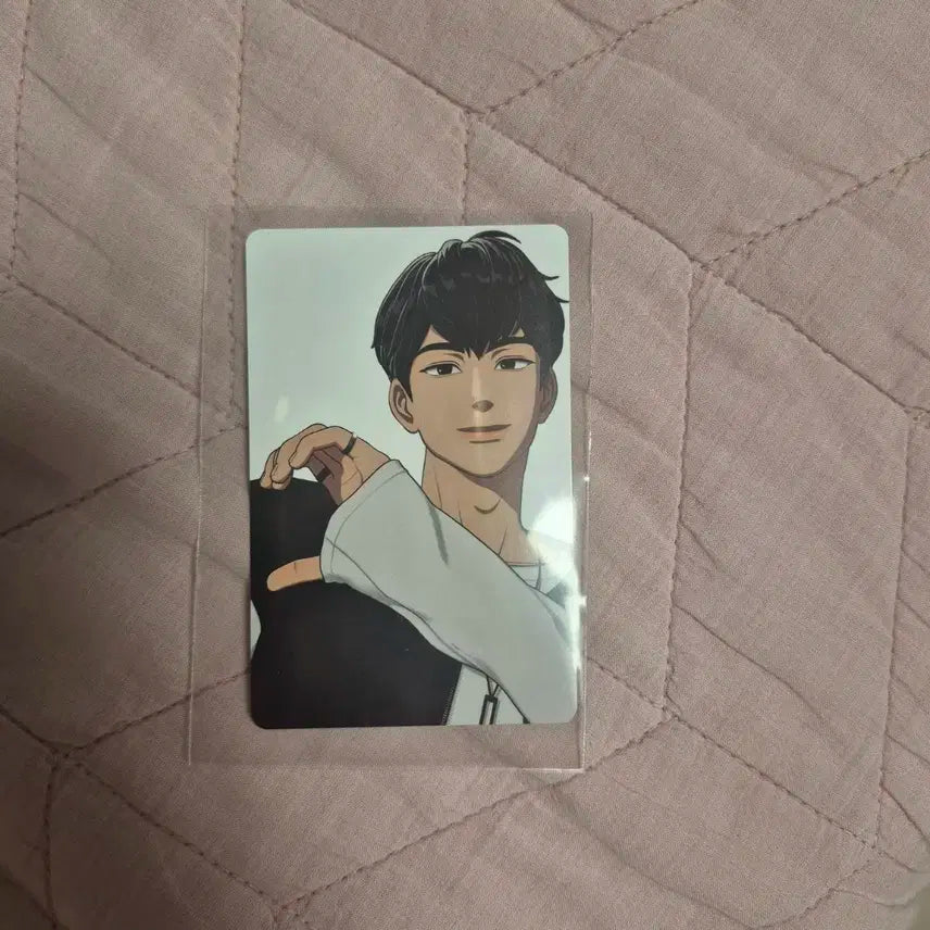 플레이브 틱톡 포카 일괄