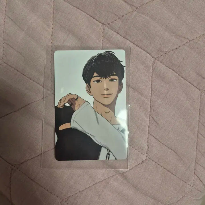 플레이브 틱톡 포카 일괄