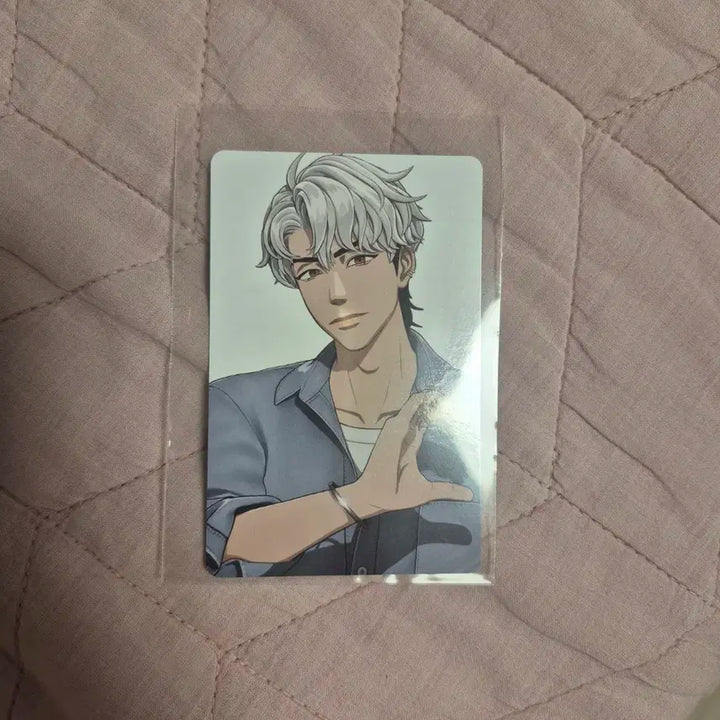 플레이브 틱톡 포카 일괄