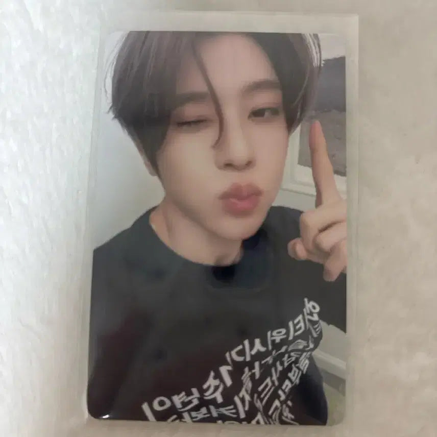 엔시티 위시 poppop 시온 포토카드 포카 양도