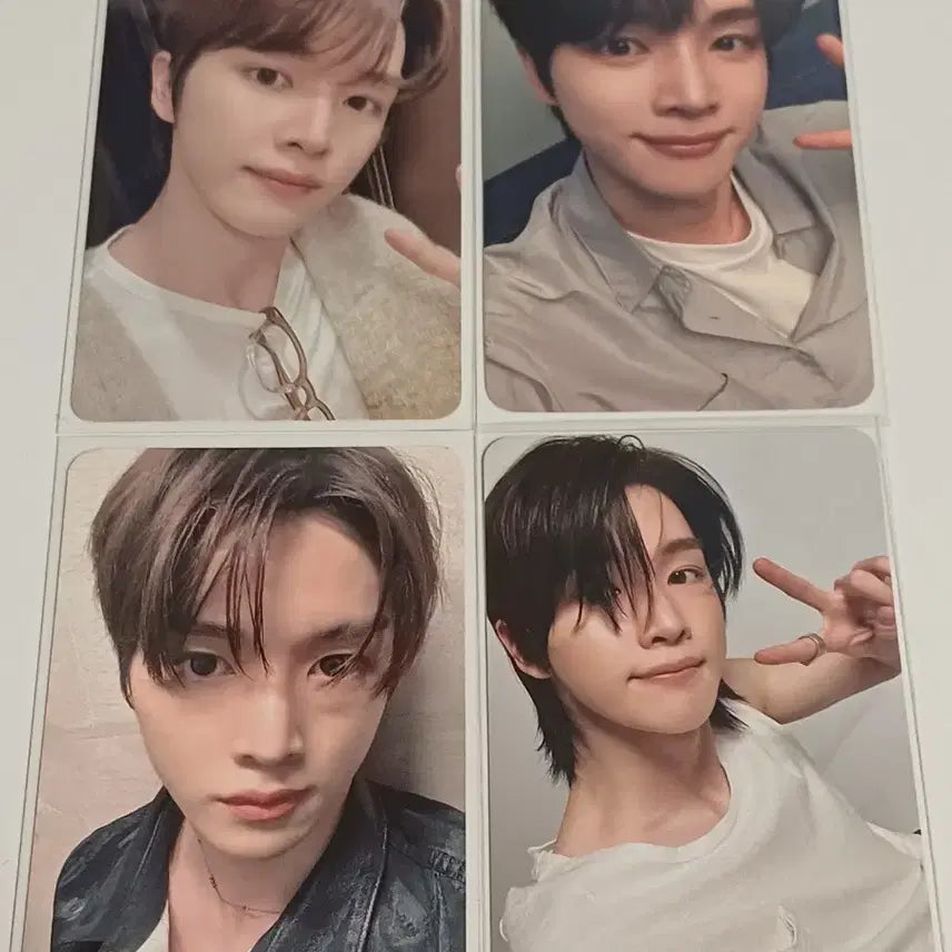 하자 많음)라이즈 포카 일괄 판매합니다 쇼타로은석성찬원빈소희앤톤