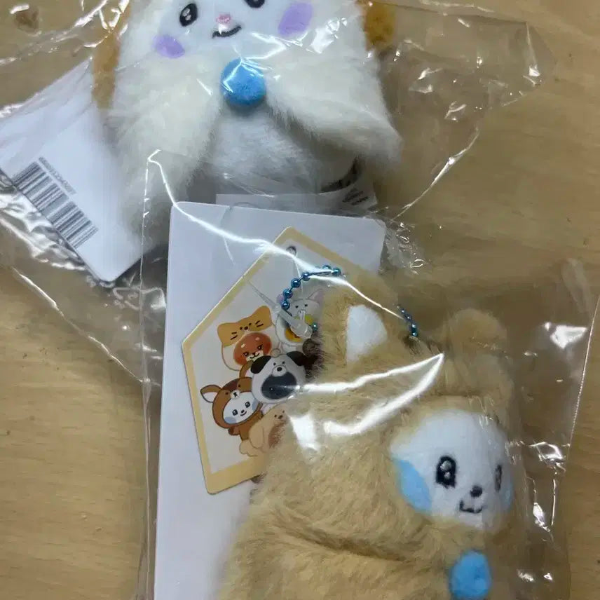 제베원 제로니 양도 ㅅㅊㅇ무나나눔앨범분철응원봉콘서트티켓포카교환인형