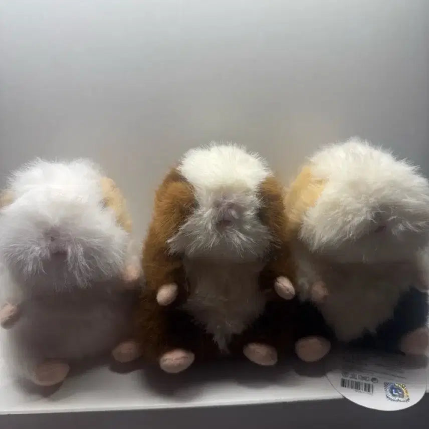 기니피그 인형 일괄