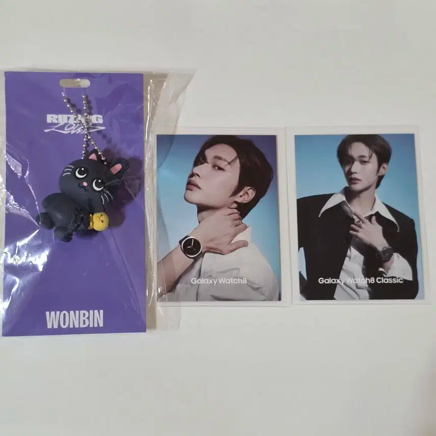 일괄)라이즈 원빈 토냥덕 일본투어 MD 러버 키홀더+갤럭시샵 한정포토카드