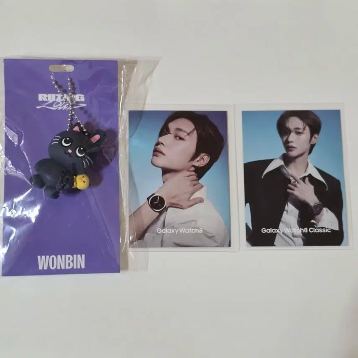 일괄)라이즈 원빈 토냥덕 일본투어 MD 러버 키홀더+갤럭시샵 한정포토카드