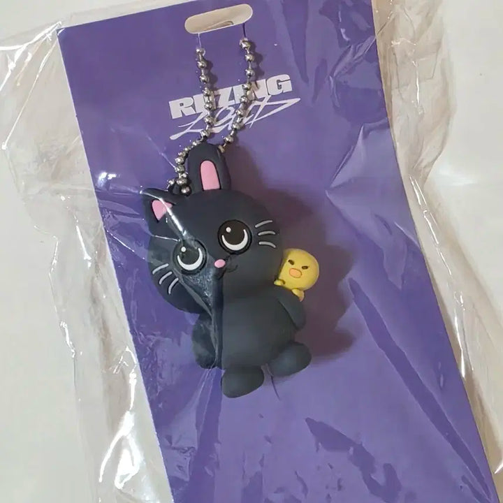 일괄)라이즈 원빈 토냥덕 일본투어 MD 러버 키홀더+갤럭시샵 한정포토카드