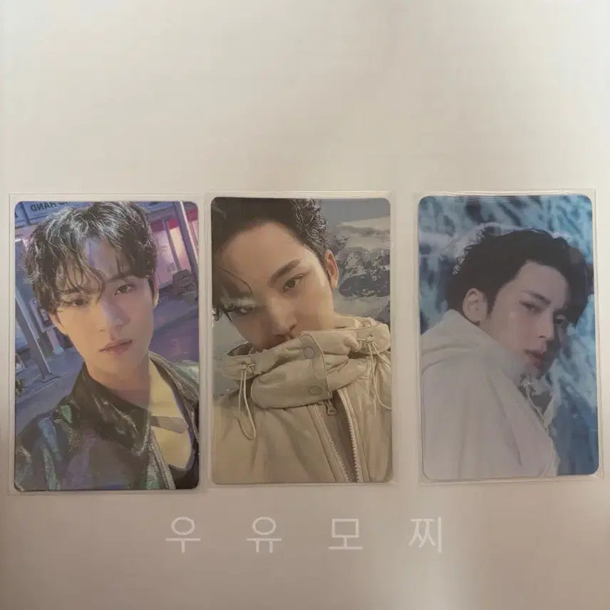 세븐틴 민규 포카 sector17 위버스반 일괄 양도