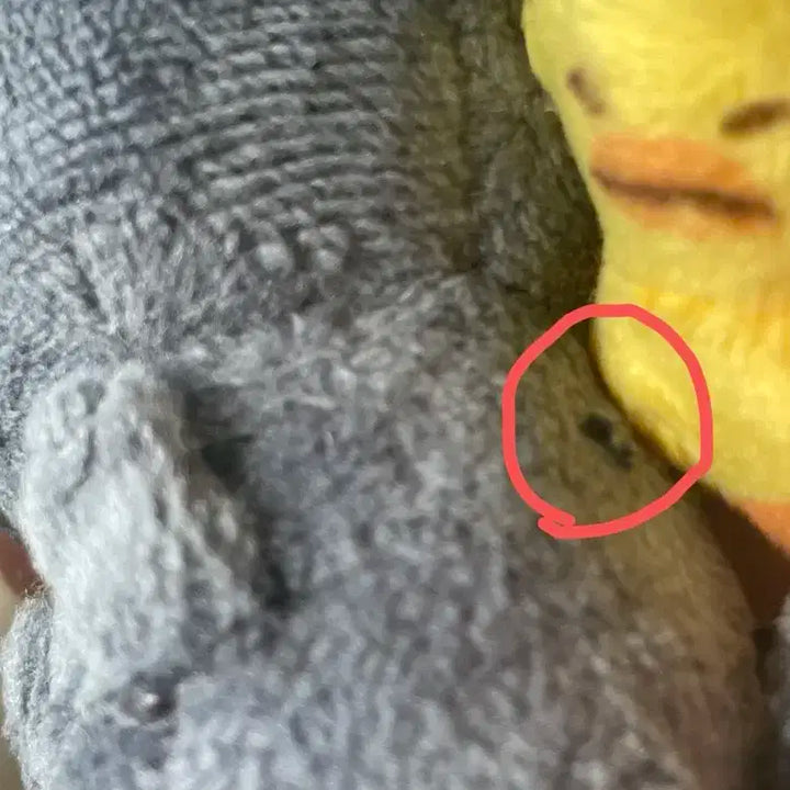 라이즈 토냥덕1기 인형 판매