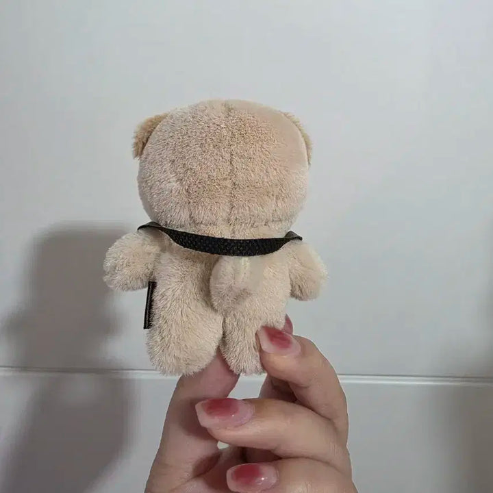 태닝멀즈 돈인형