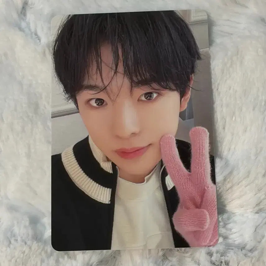 엔시티위시 nctwish 핑크 크리스마스 유우시 포카