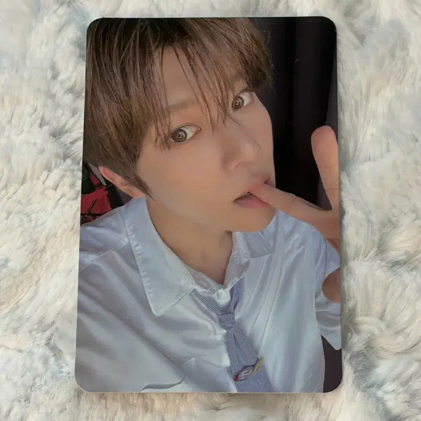 엔시티위시 nctwish 스테디 steady 슴스토어 미공포 시온 포카