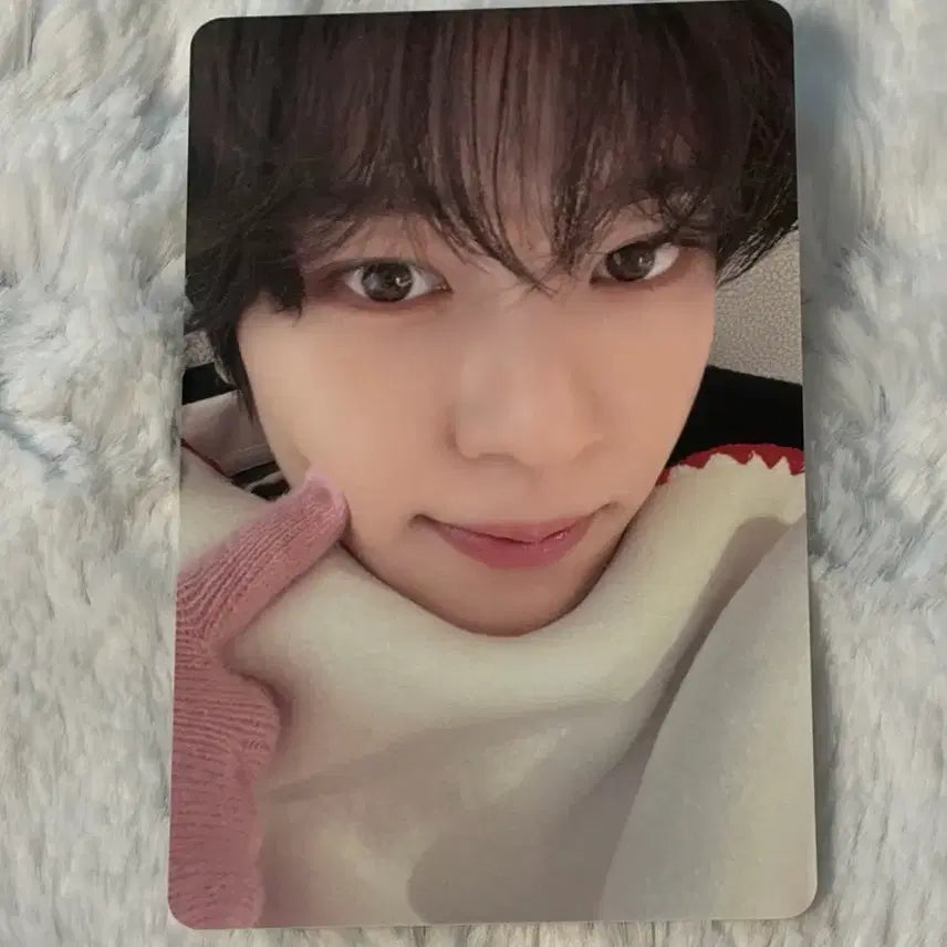 엔시티위시 nctwish 핑크 크리스마스 시온 포카