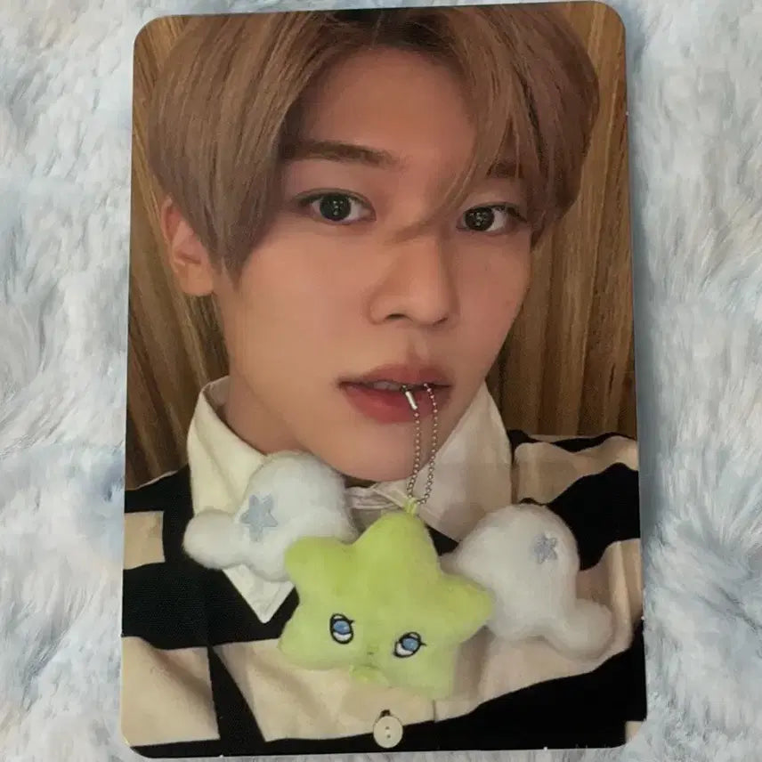 엔시티위시 nctwish 위츄 WICHU 앨범 시온 포카