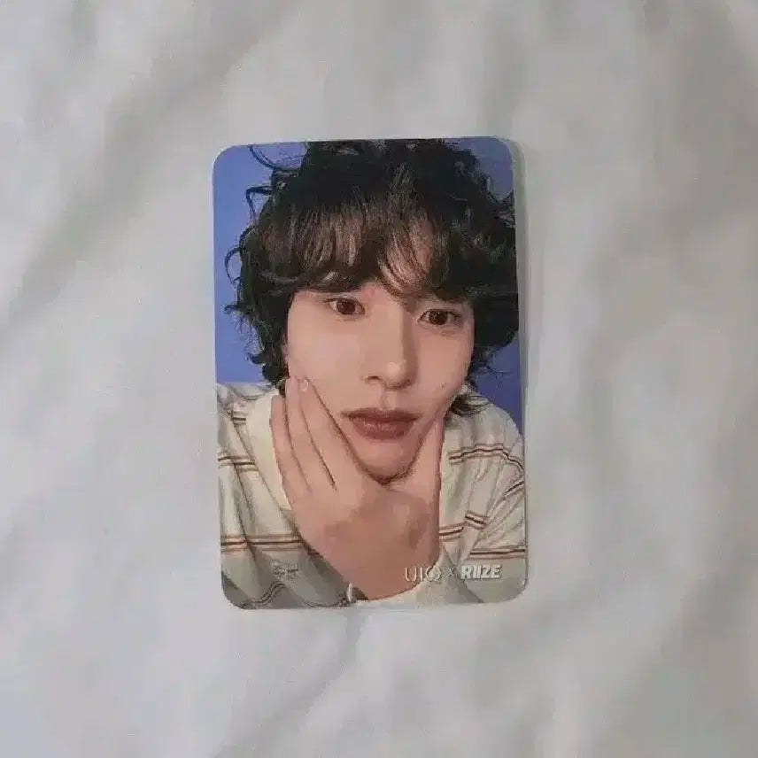 라이즈 앤톤 유이크 포카 양도