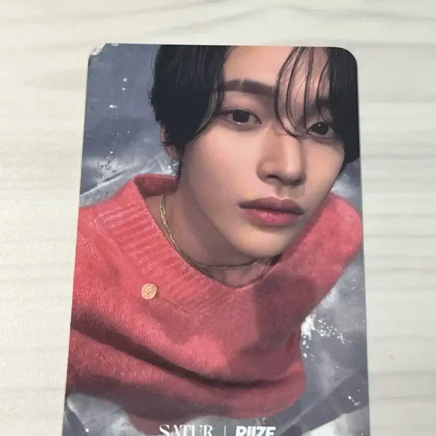 라이즈 세터 원빈