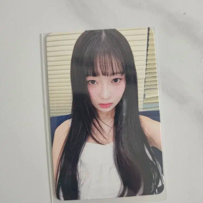 아이브 레이 콘서트 다이브존 포토카드