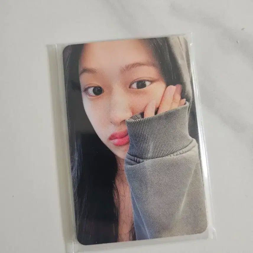 아이브 다이브존 콘서트 2일차 중콘 포토카드 세트 일괄