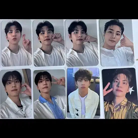 데이식스 포카 원필 성진 도운 영케이 81개 일괄양도