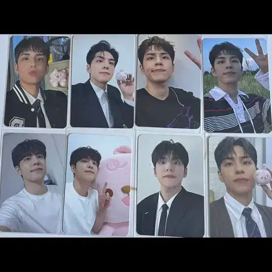 데이식스 포카 원필 성진 도운 영케이 81개 일괄양도