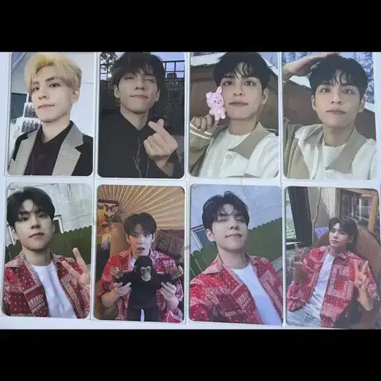 데이식스 포카 원필 성진 도운 영케이 81개 일괄양도